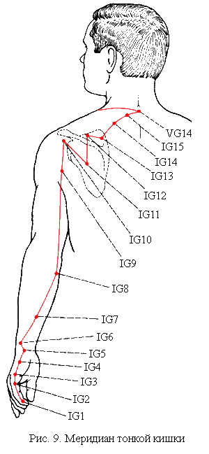 точки меридиана тонкой кишки (gi-ig)