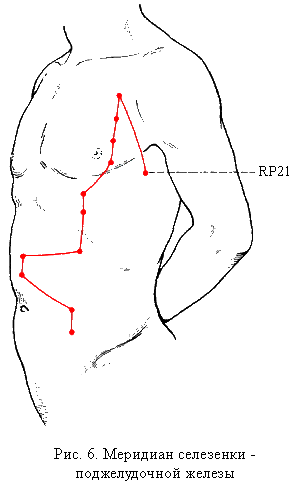 Меридиан селезенки - поджелудочной железы (rp)